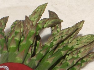 pointes-asperges-vertes